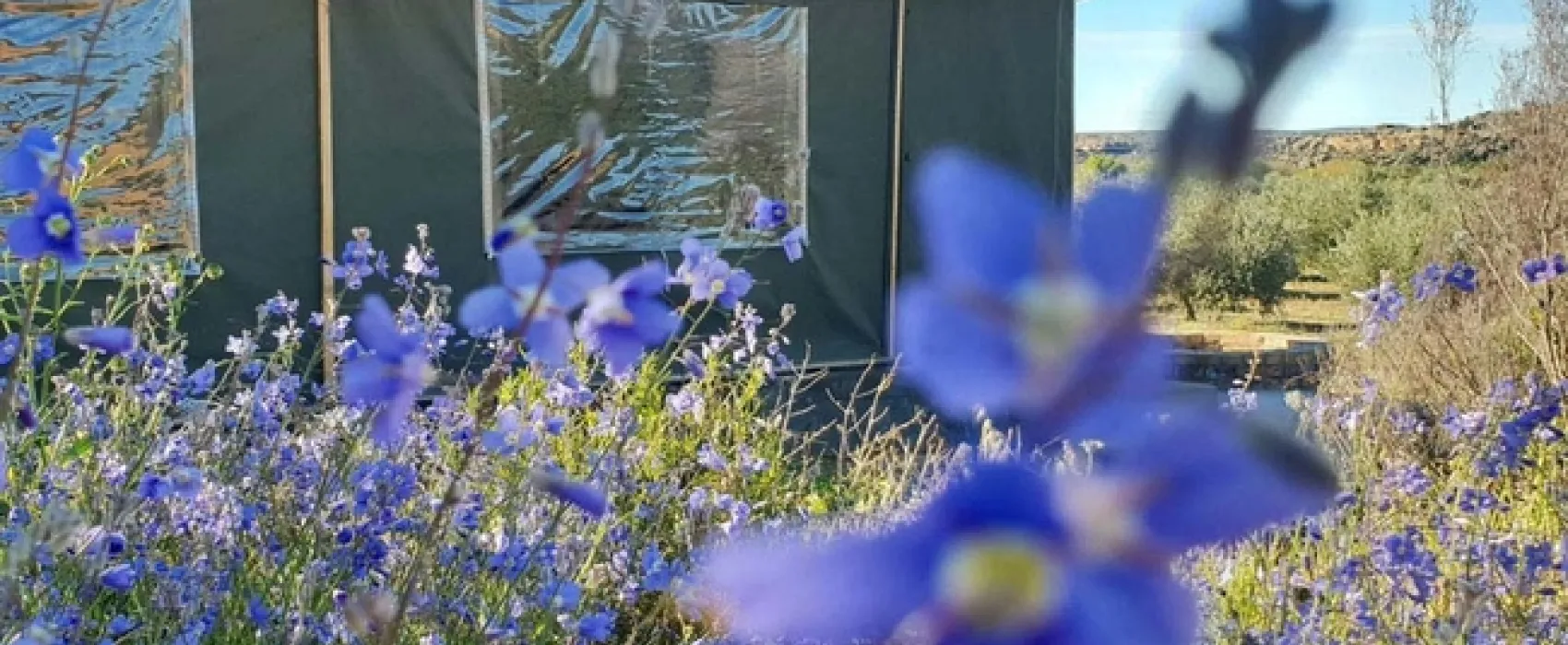 De Pakhuys Glamp and Camp