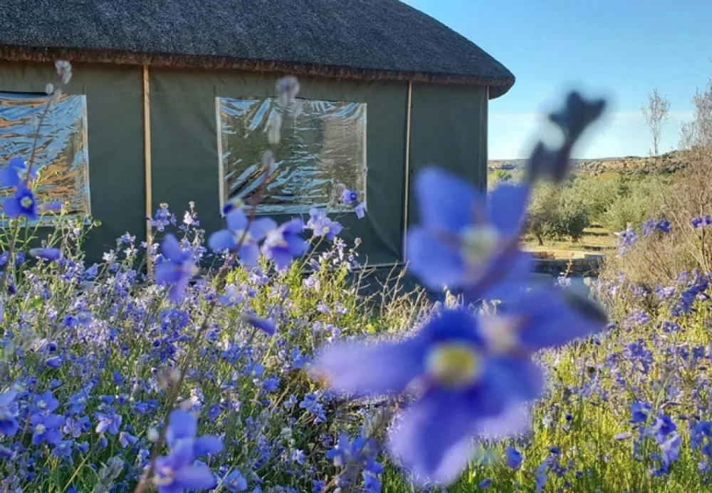 De Pakhuys Glamp and Camp