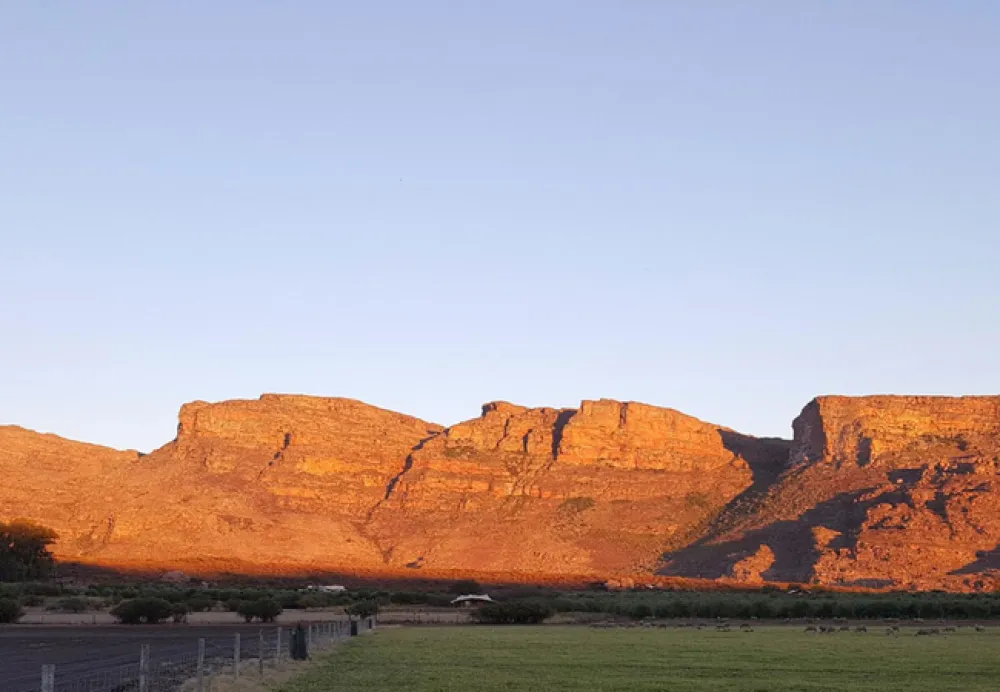 De Pakhuys Glamp and Camp