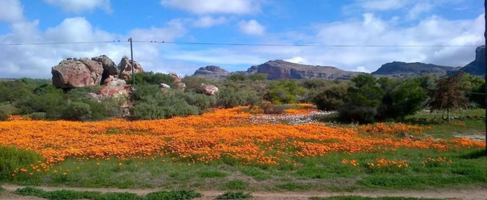 De Pakhuys Glamp and Camp