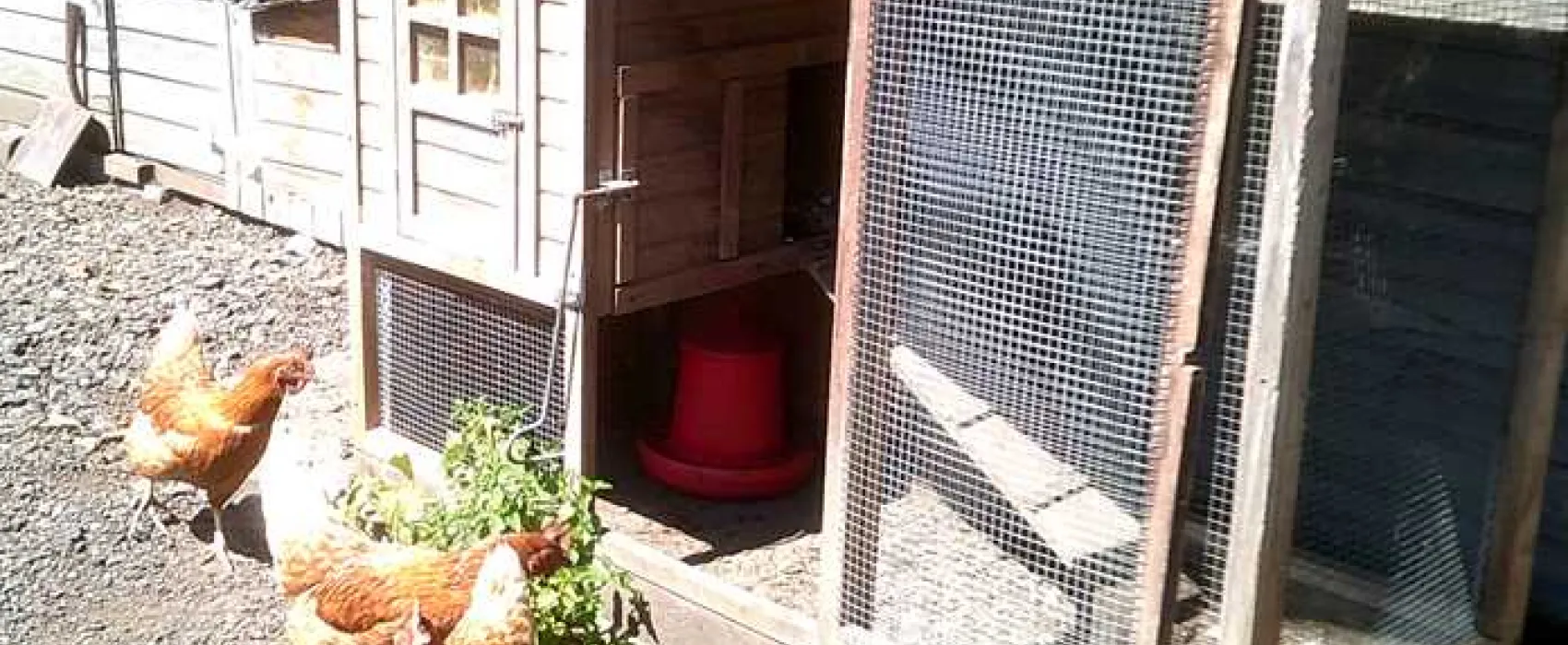 Three Acres Certificated Site