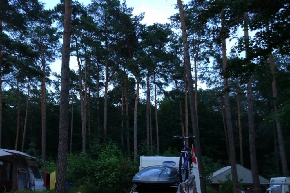 Waldcamping Olympiasee