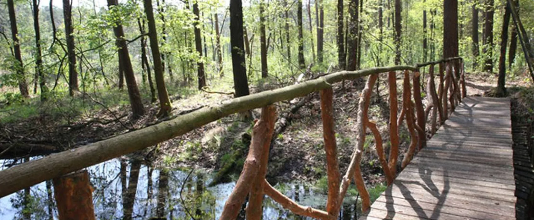 Waldcamping Olympiasee