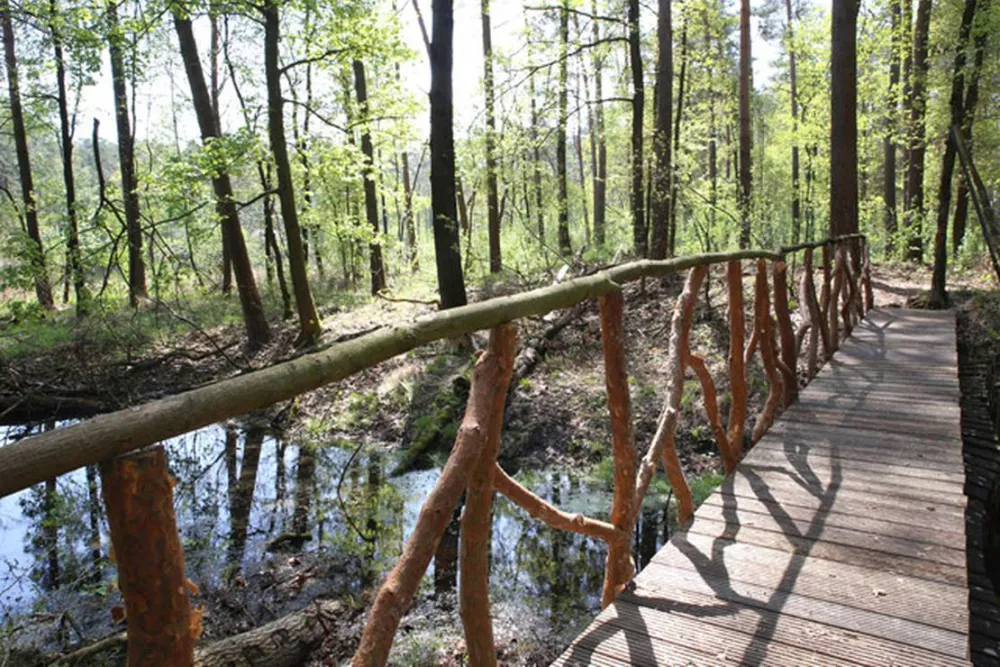 Waldcamping Olympiasee