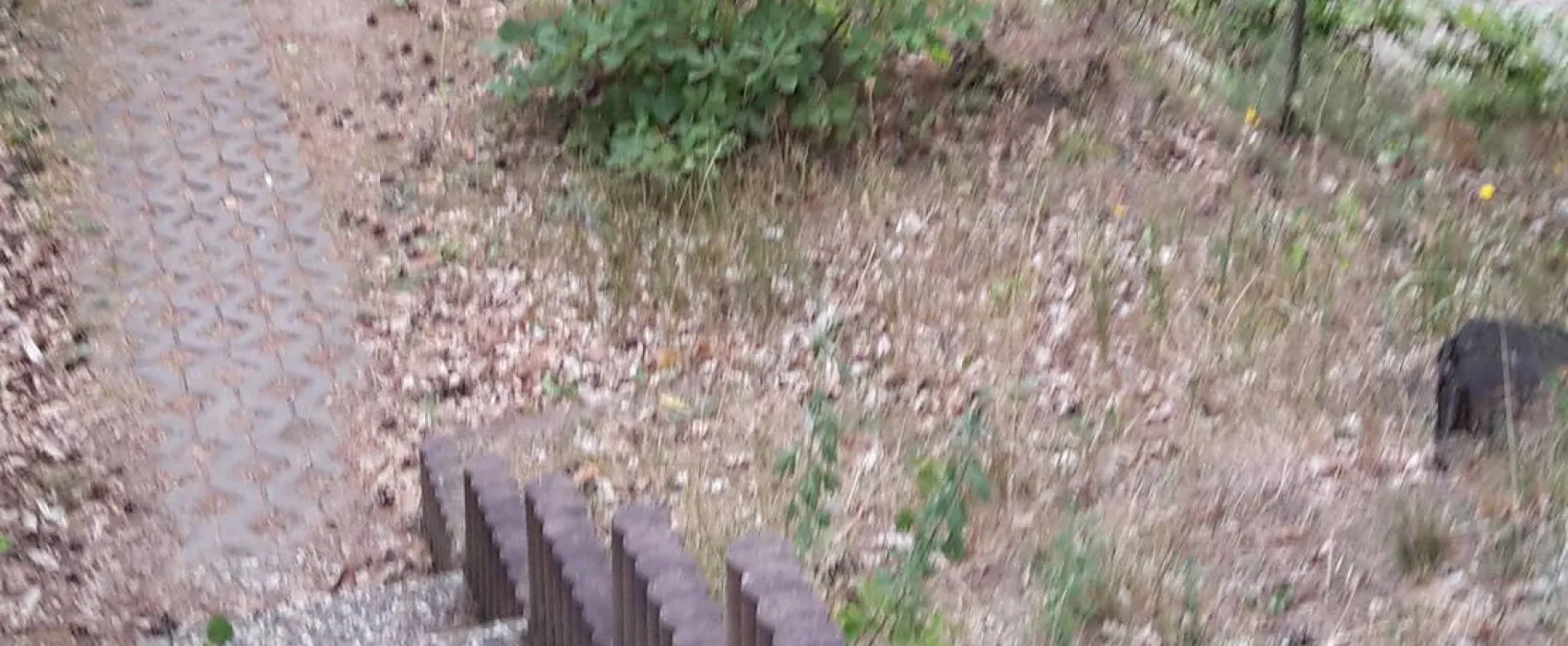 Waldcamping Olympiasee