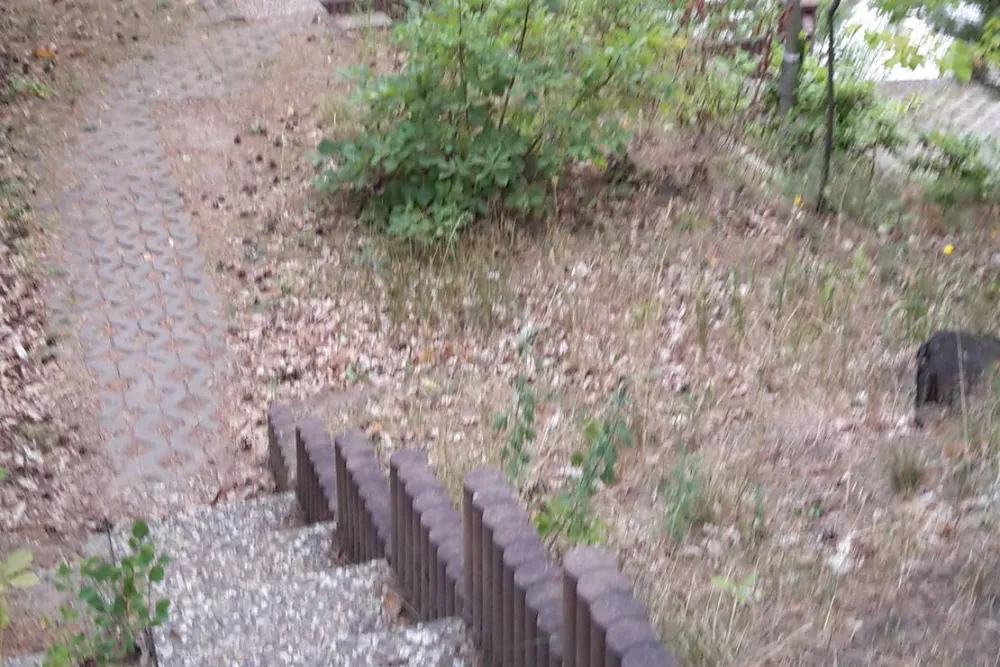 Waldcamping Olympiasee