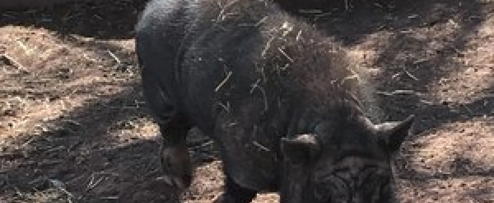 Cedar Lake Campground