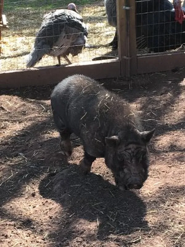 Cedar Lake Campground