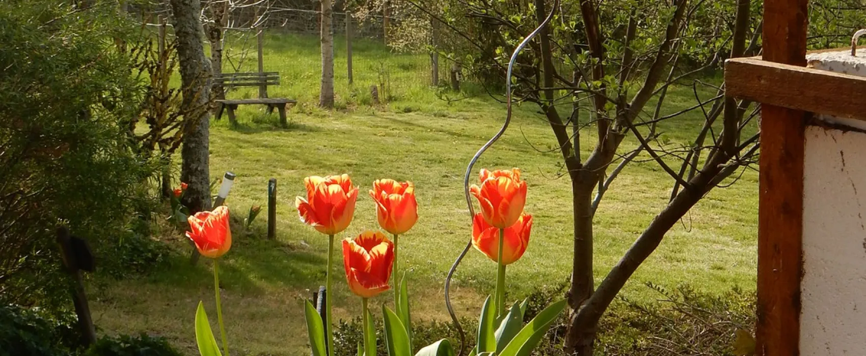 Le Petit Papillon*** (Minicamping)