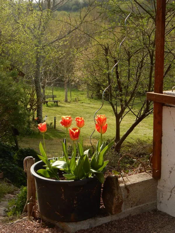 Le Petit Papillon*** (Minicamping)