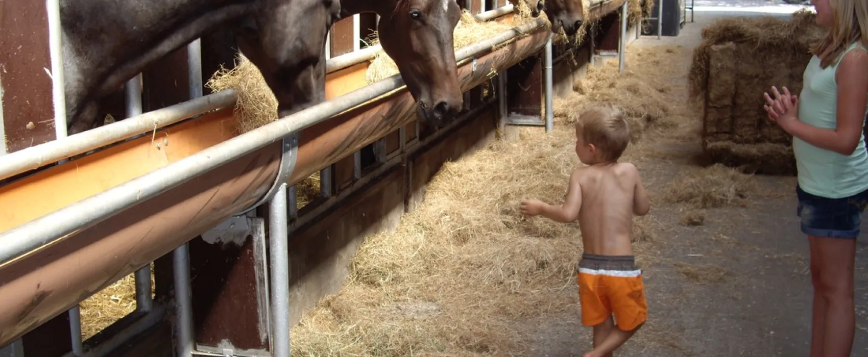 Minicamping Munnikenhof