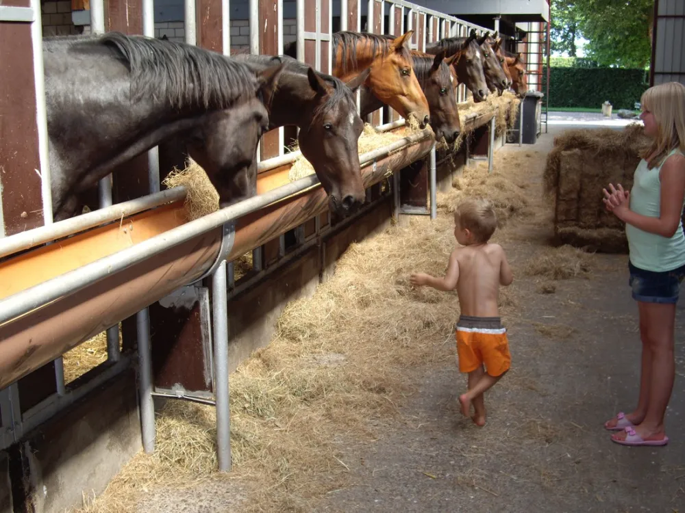 Minicamping Munnikenhof