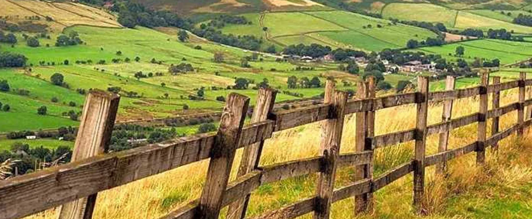 Newfold Farm Campsite