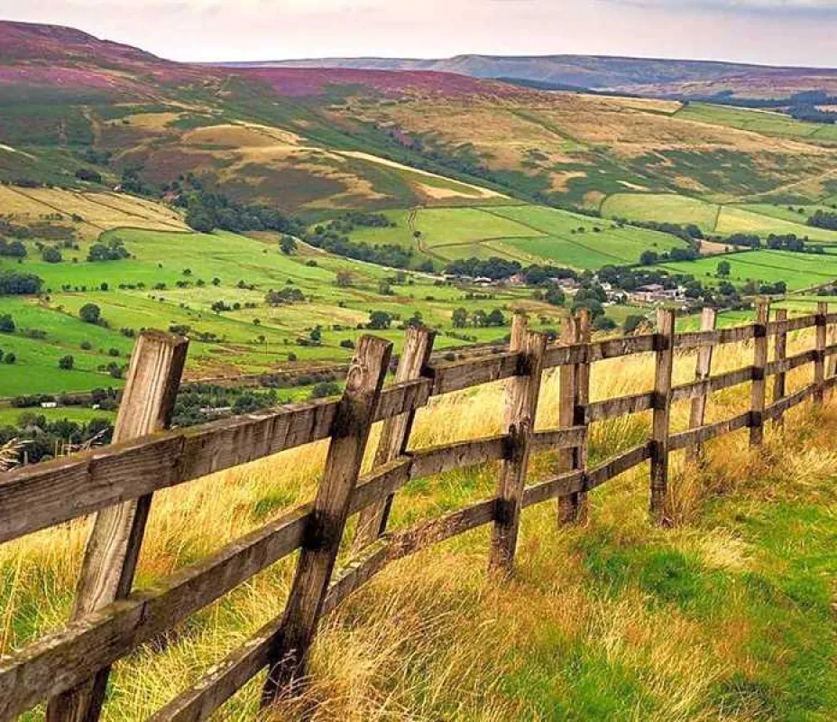 Newfold Farm Campsite