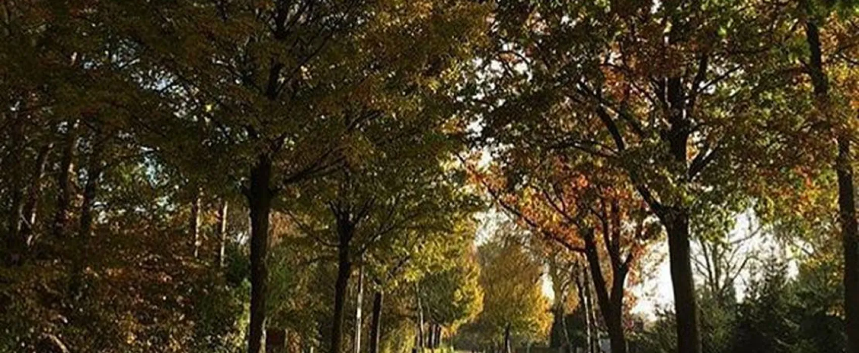 Camping- und Freizeitanlage Dreiländersee Gronau