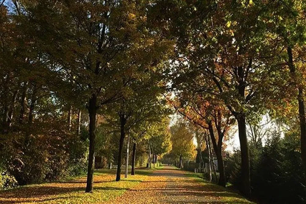 Camping- und Freizeitanlage Dreiländersee Gronau