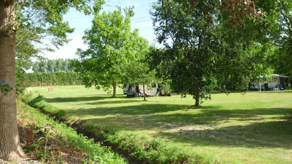 Minicamping De Toffe Peer