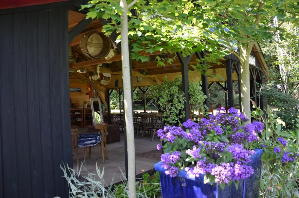 Minicamping 't Haldert