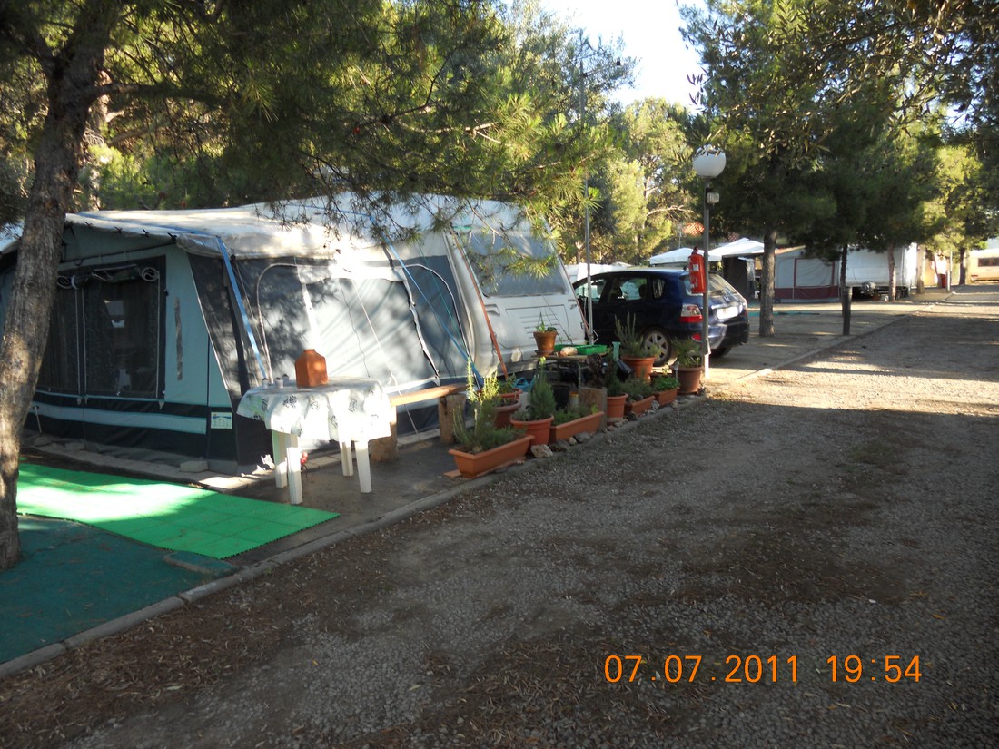 Municipal de Altura photo 3