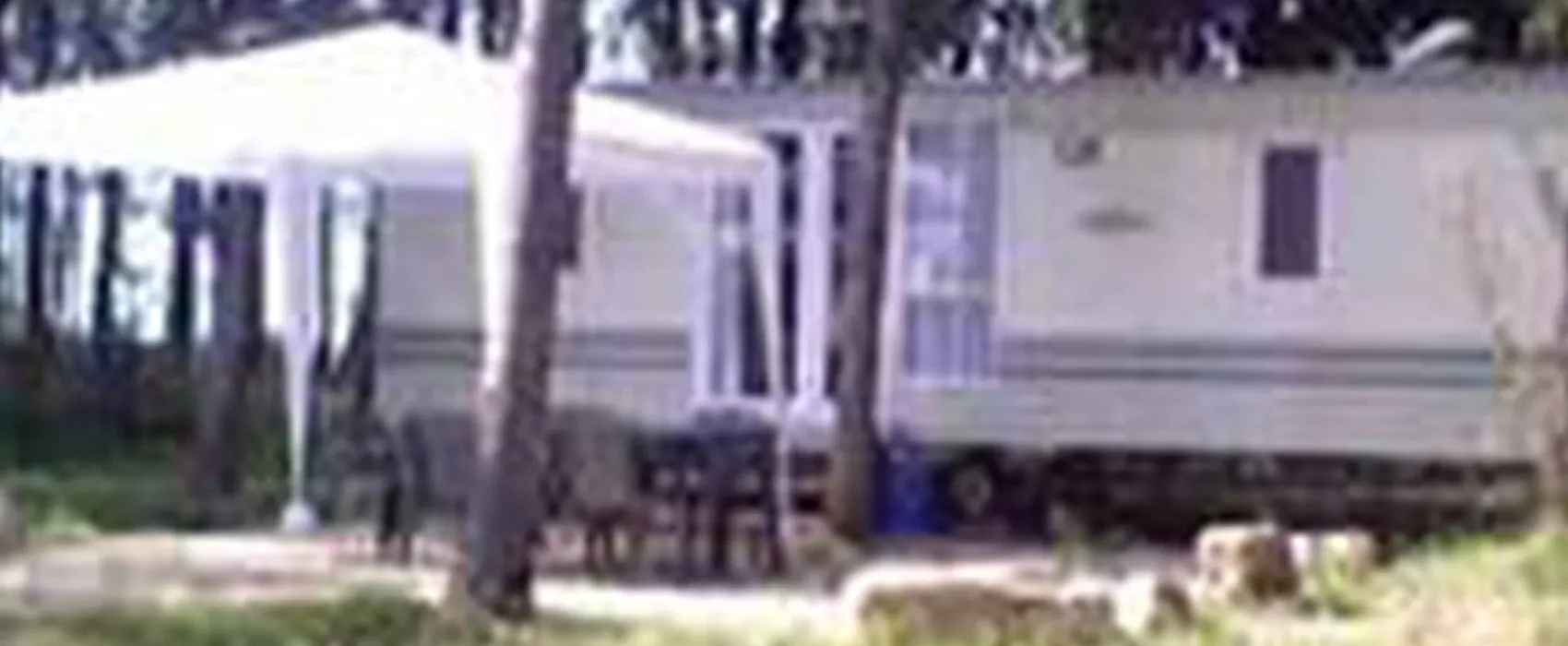 Camping à la ferme Milhac-oie