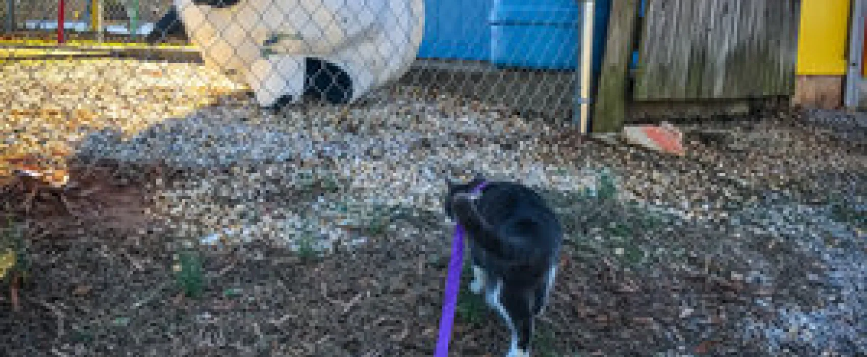 Carolina Country Campground