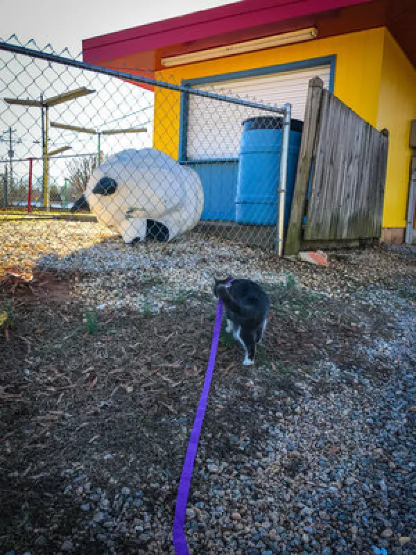Carolina Country Campground