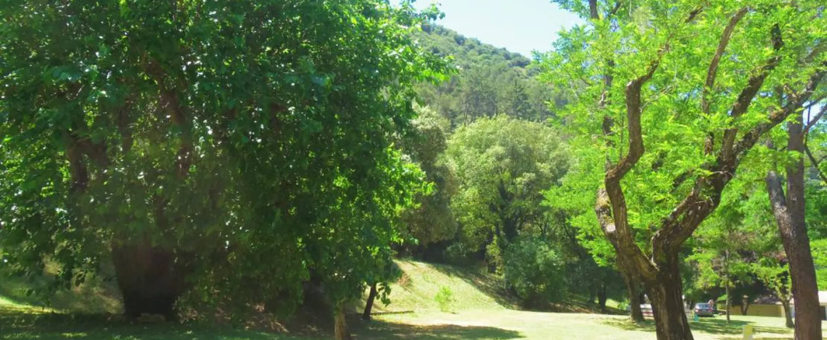 Camping Municipal La Pinede