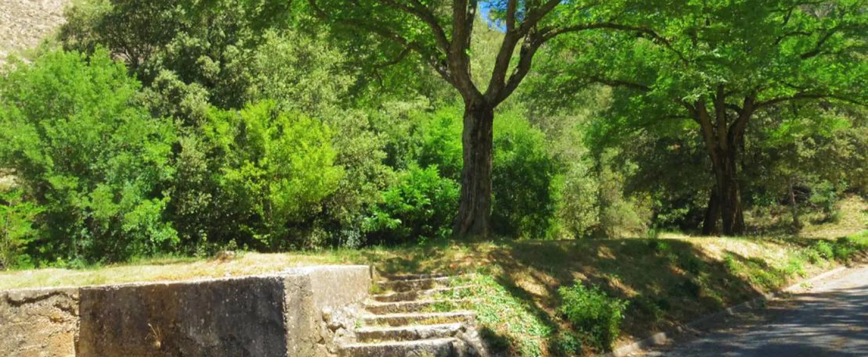 Camping Municipal La Pinede