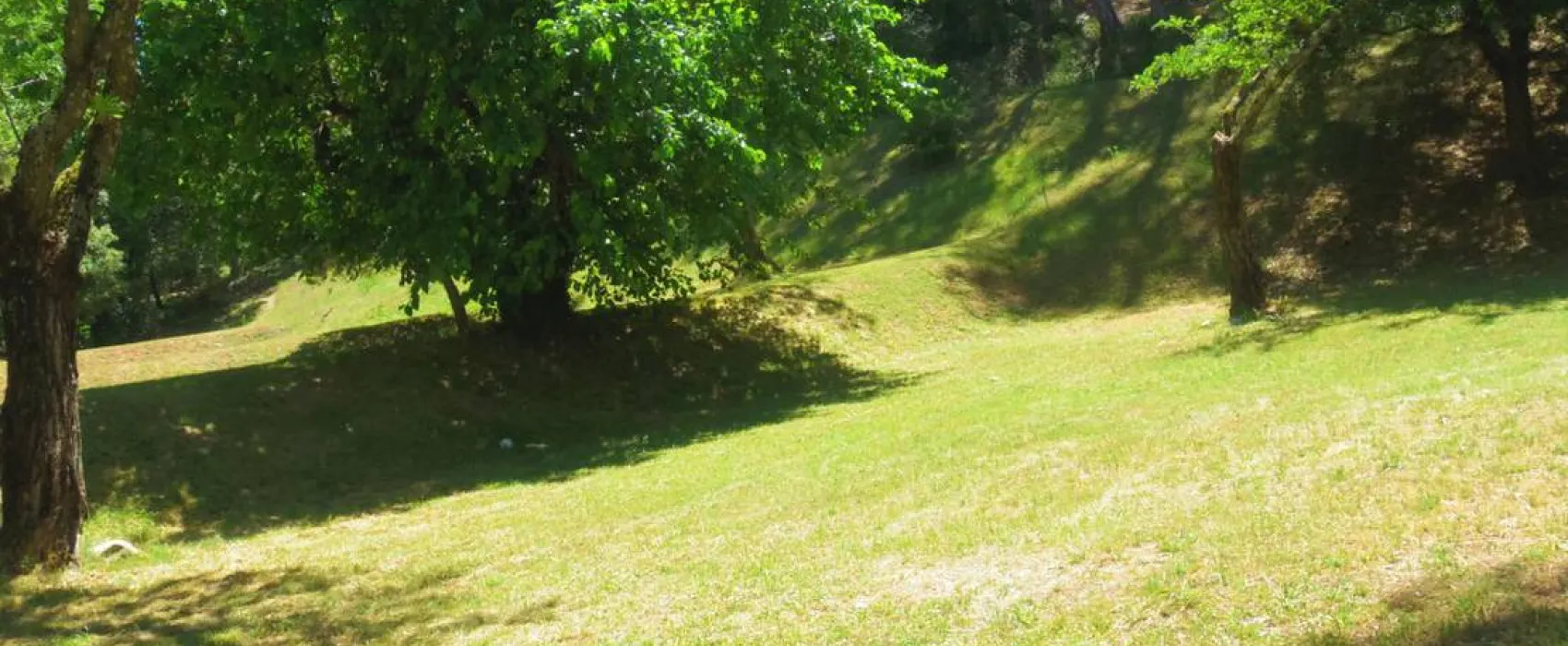 Camping Municipal La Pinede