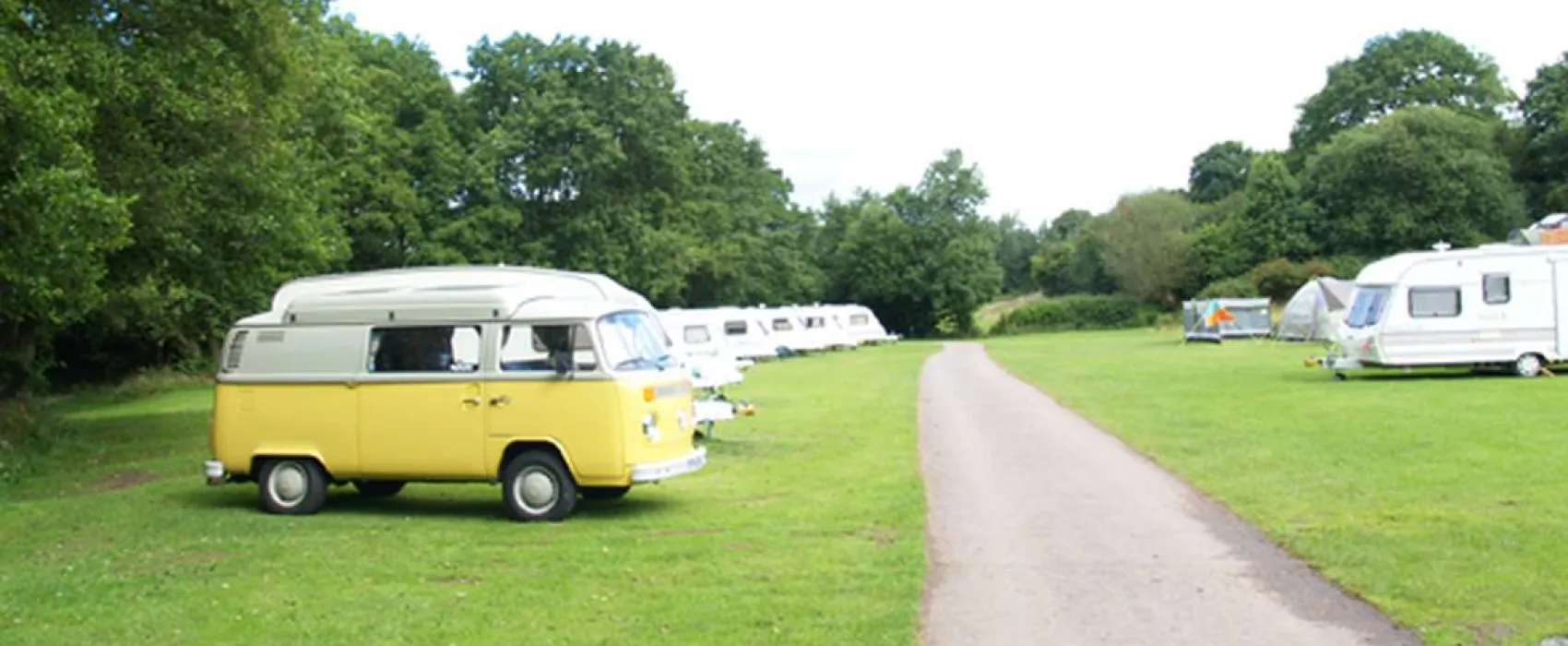 The Green Caravan Park