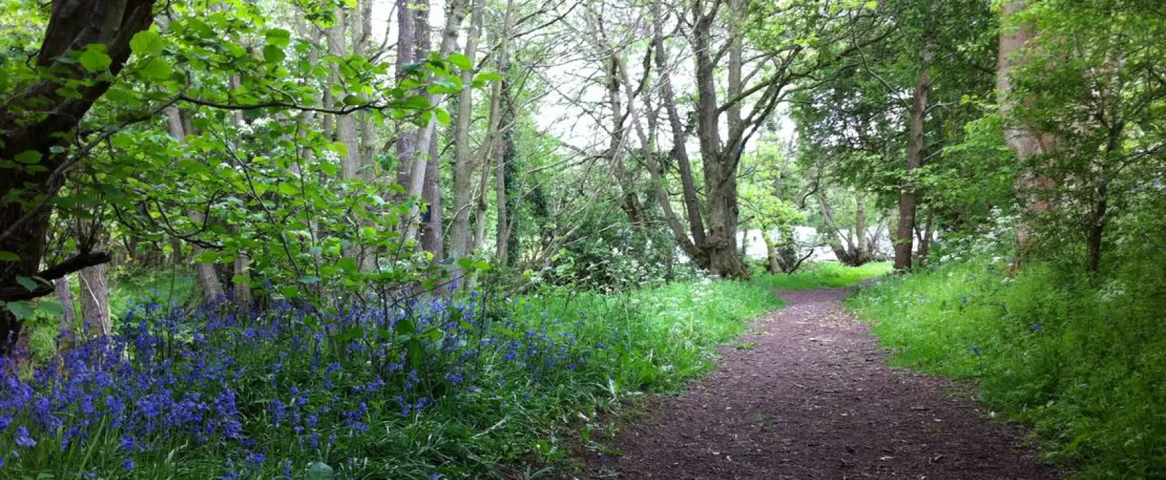 The Green Caravan Park