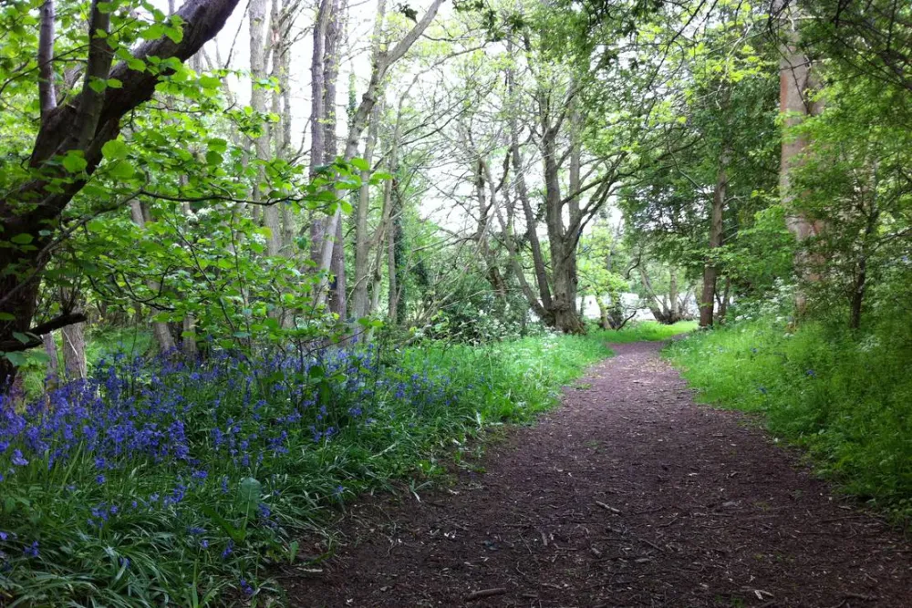 The Green Caravan Park