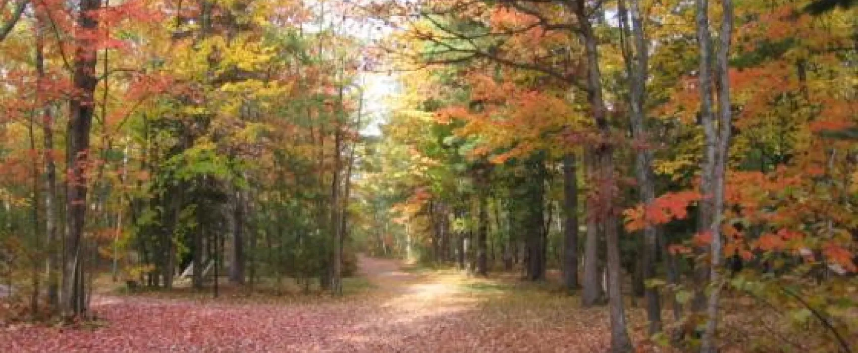 Michigan Oaks Camping Resort