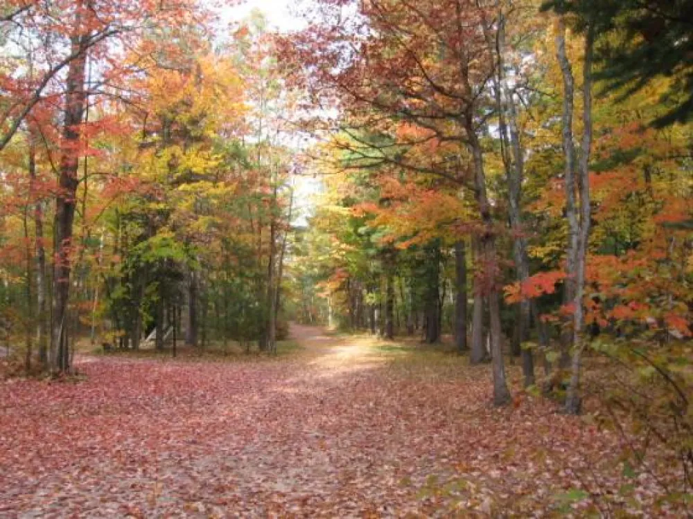 Michigan Oaks Camping Resort