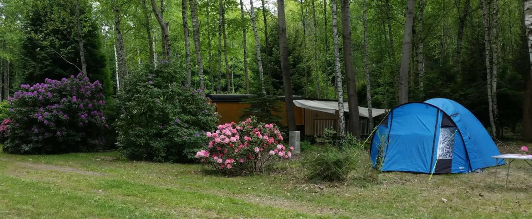 Ferienpark "Am Waldbad Bernsdorf"