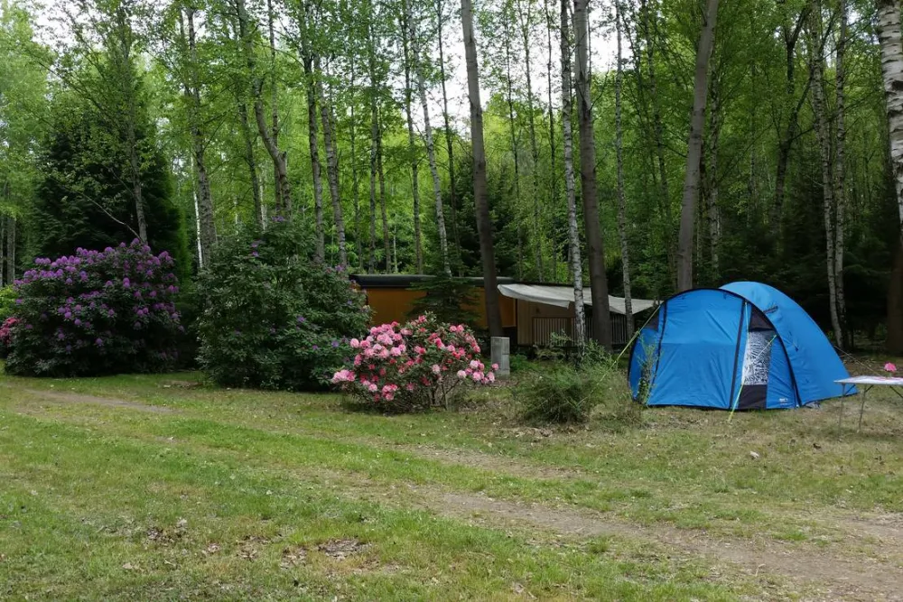 Ferienpark "Am Waldbad Bernsdorf"