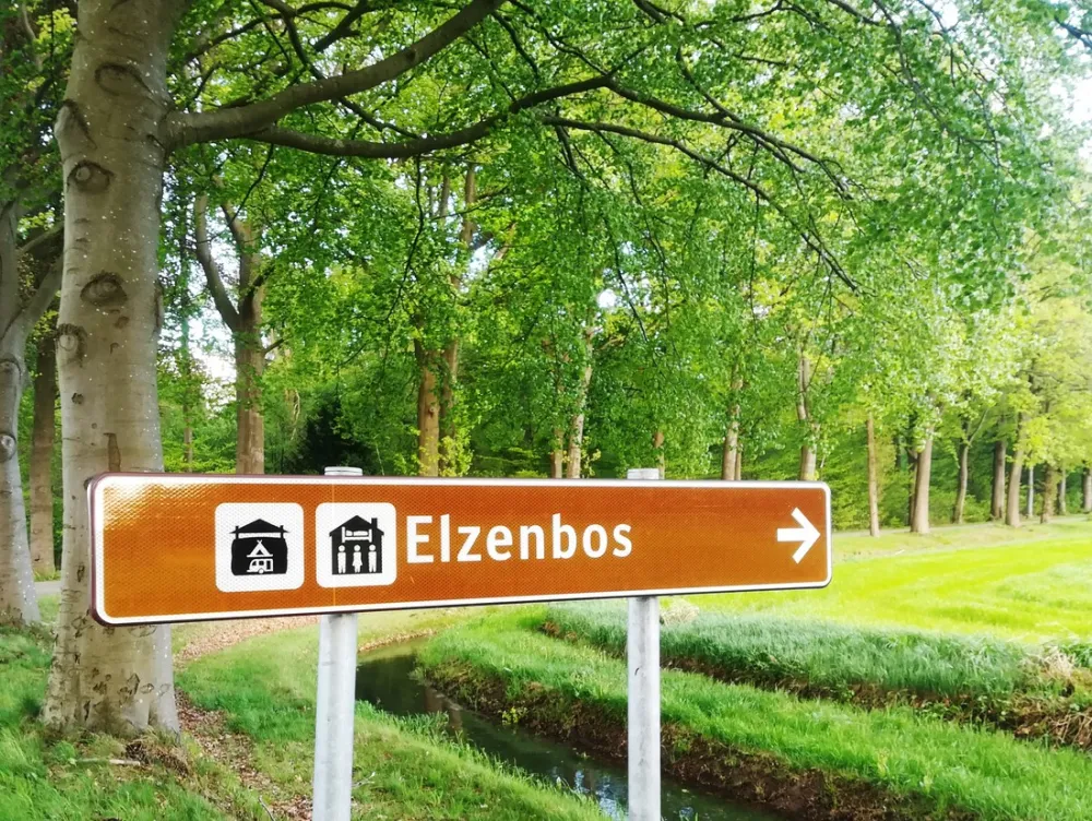 Elzenbos
