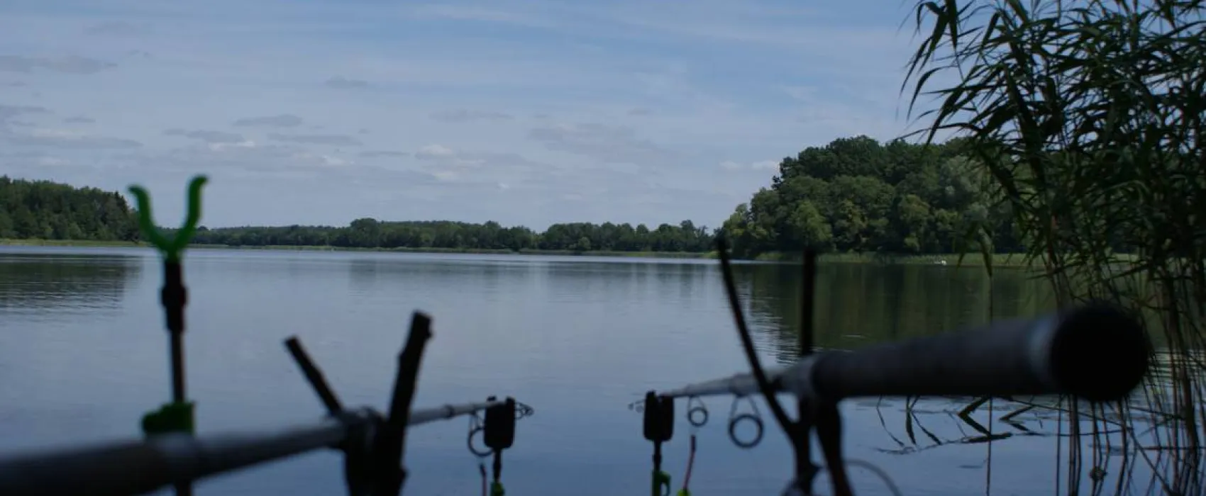 Półwysep Sielanka pole campingowo-namiotowe