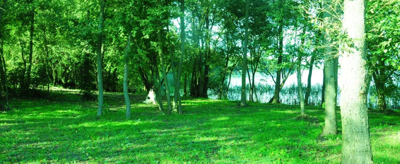 Półwysep Sielanka pole campingowo-namiotowe