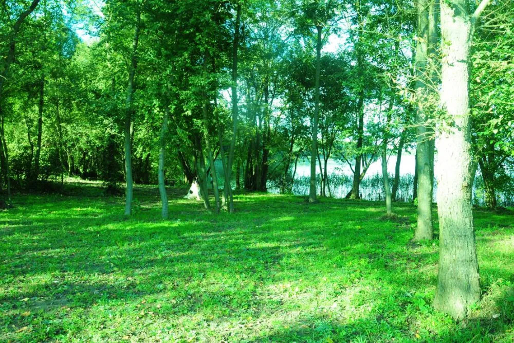 Półwysep Sielanka pole campingowo-namiotowe