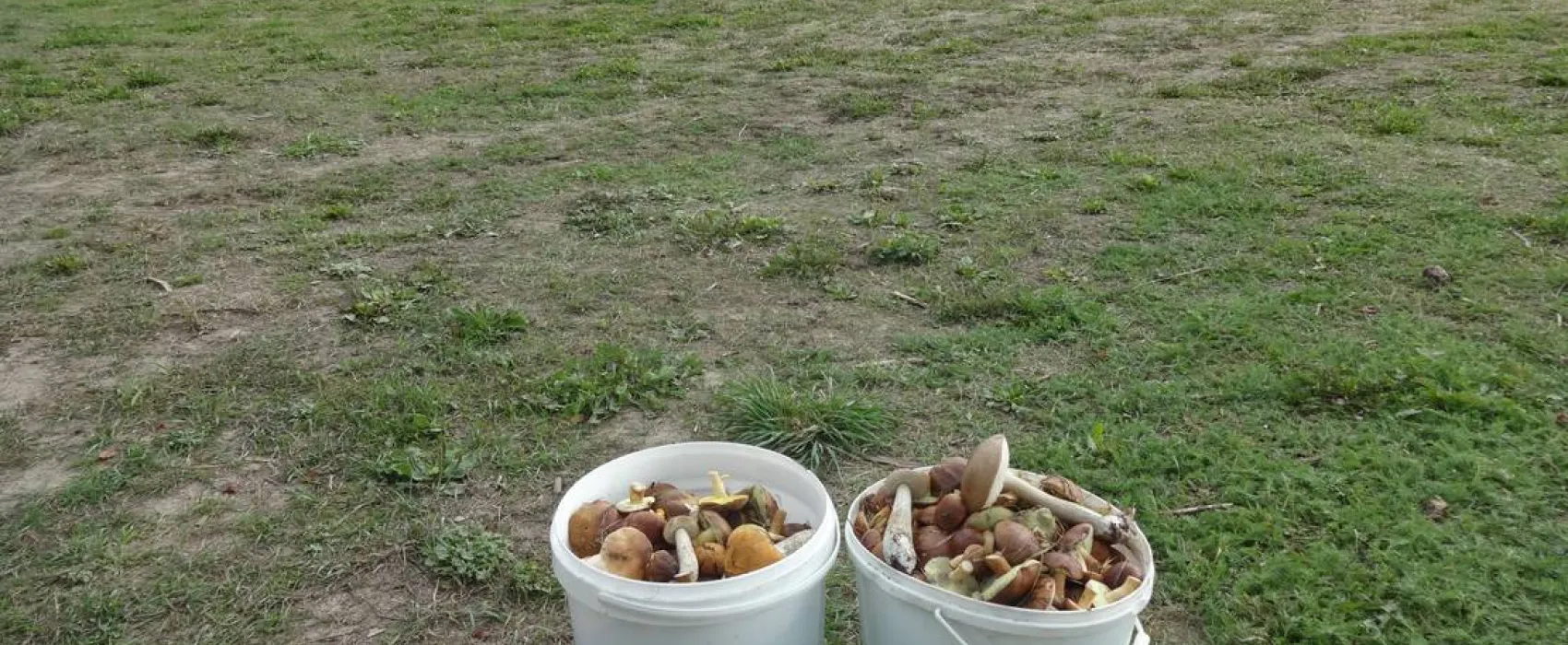 Półwysep Sielanka pole campingowo-namiotowe