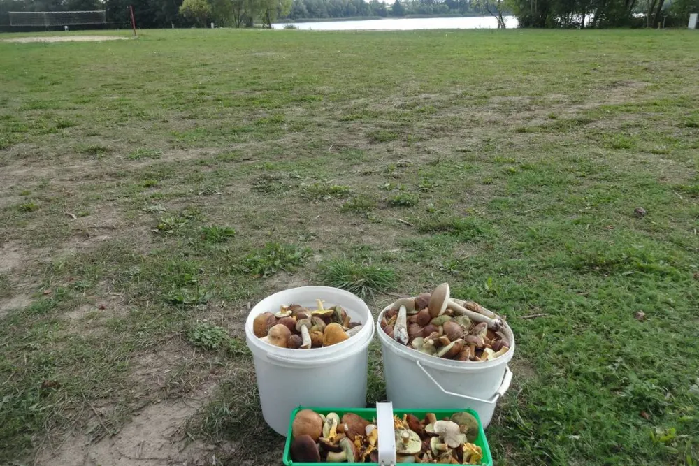 Półwysep Sielanka pole campingowo-namiotowe