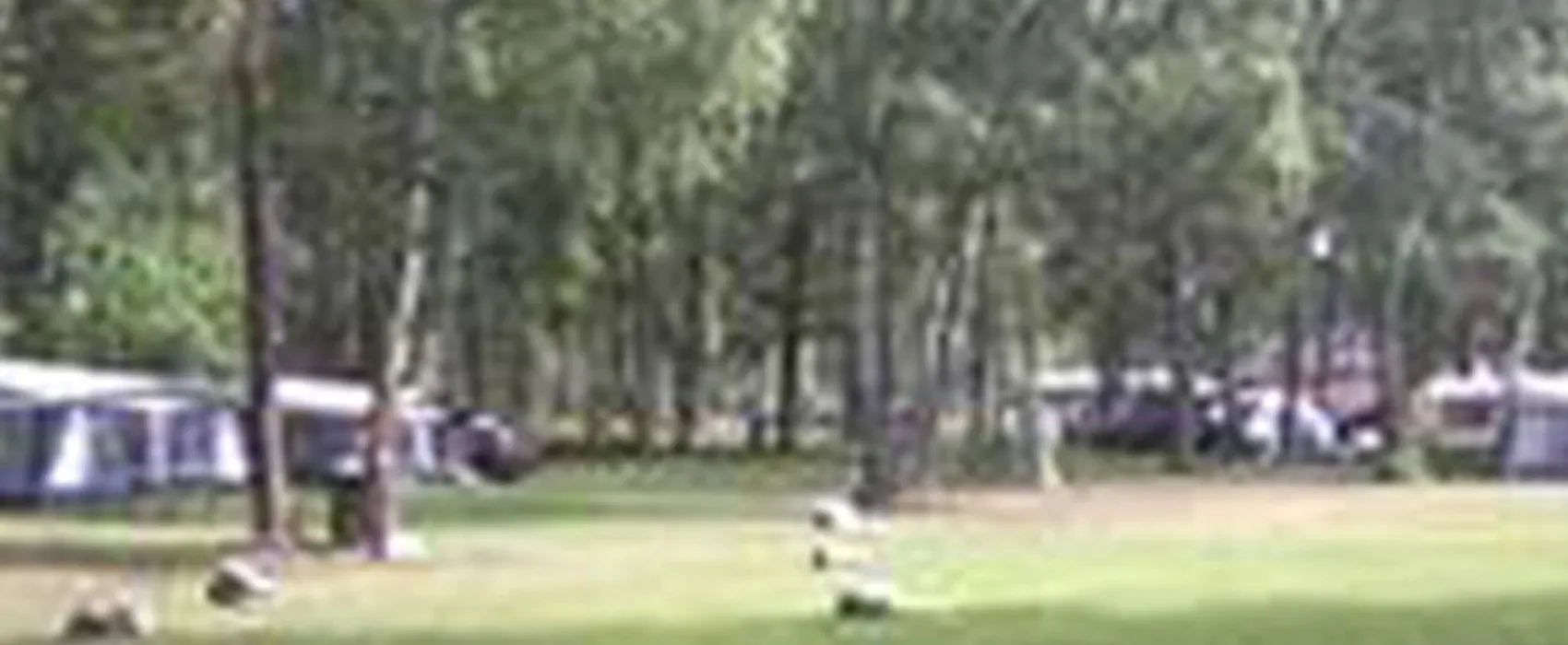 Alholmens Bad & Camping