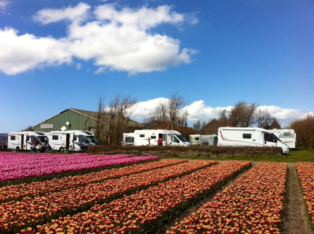 Minicamping Mariahoeve