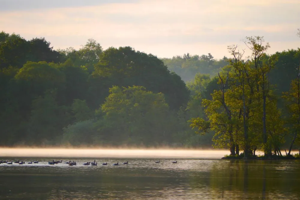 Naturcamping am Stocksee