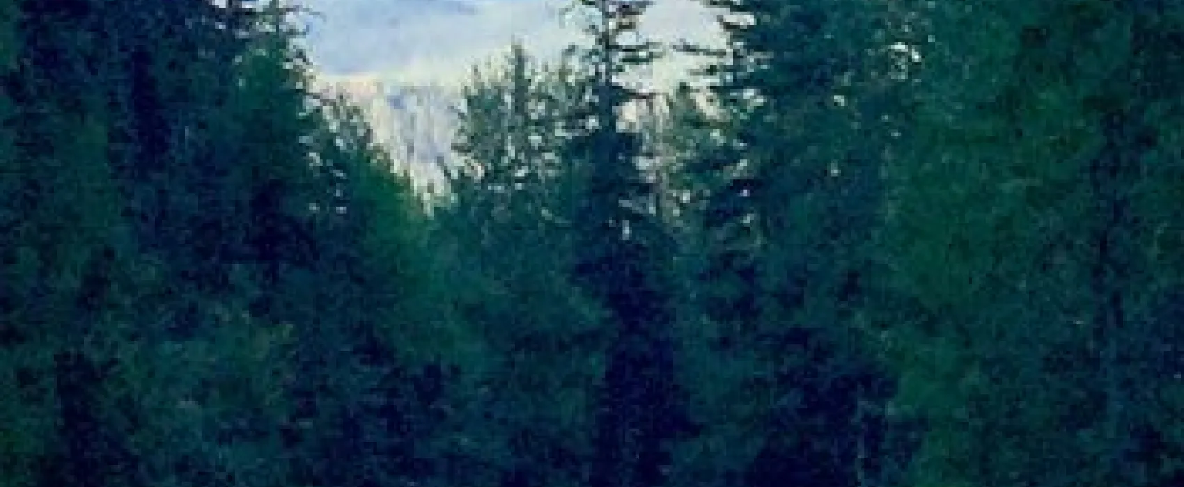 Lost Johnny Campground