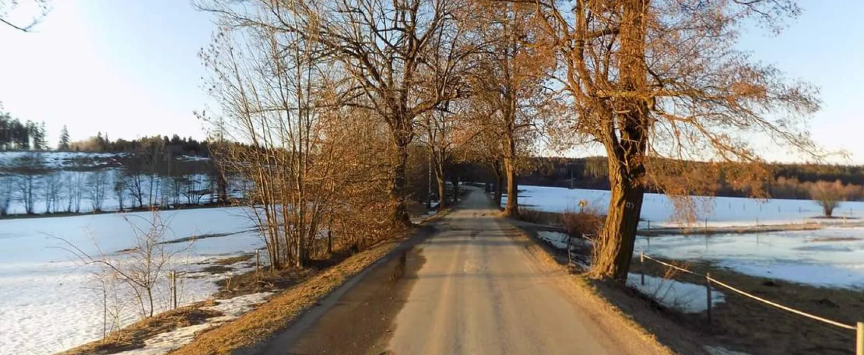 Camp Velkopařezitý