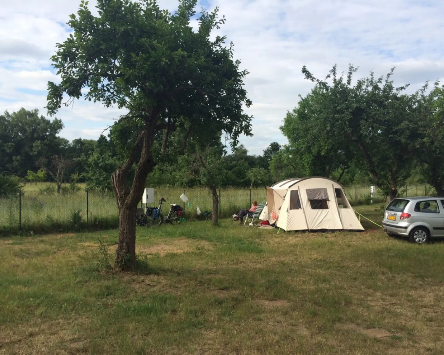 Katzenkopf in Deutschland - Spottocamp - Spottocamp