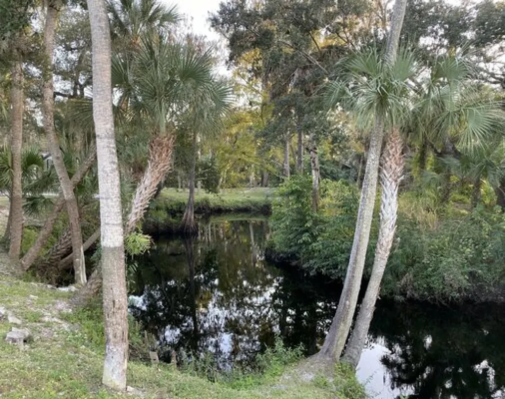 Imperial Bonita Estates