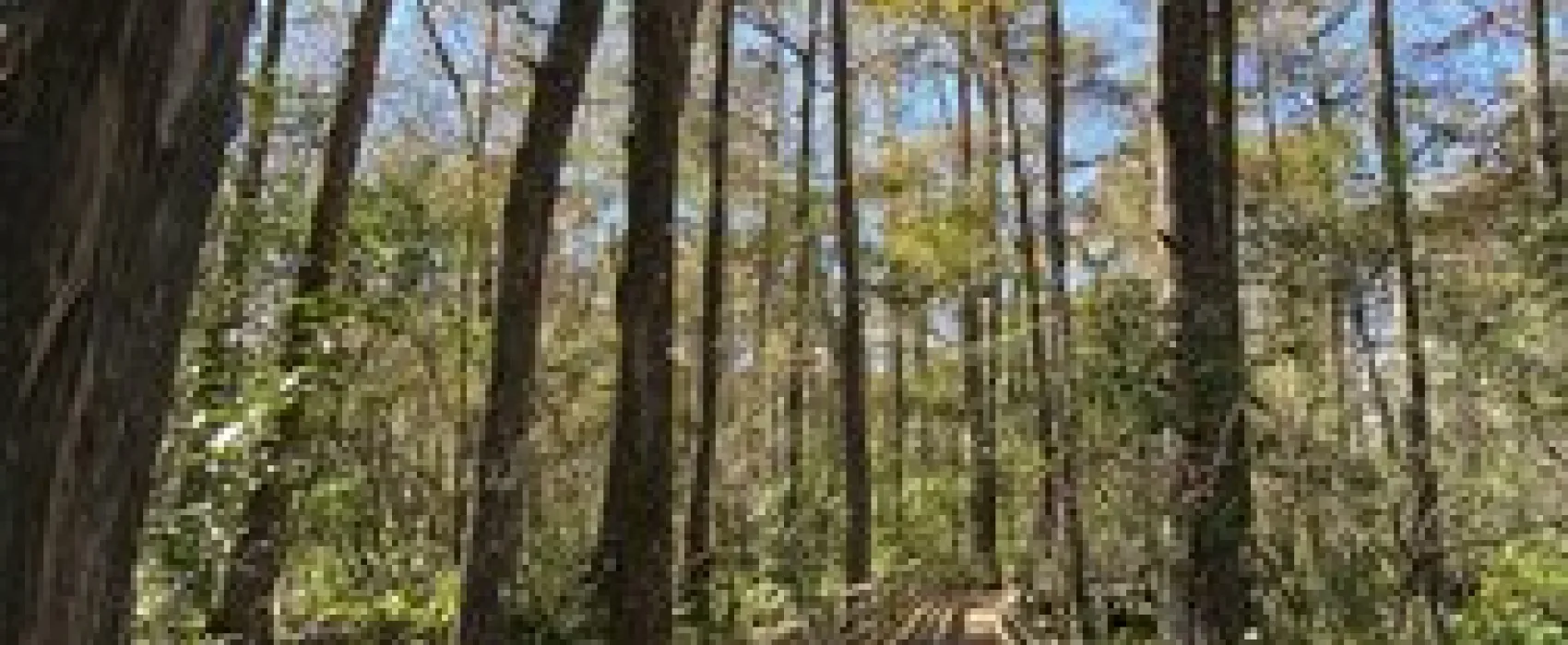 Imperial Bonita Estates